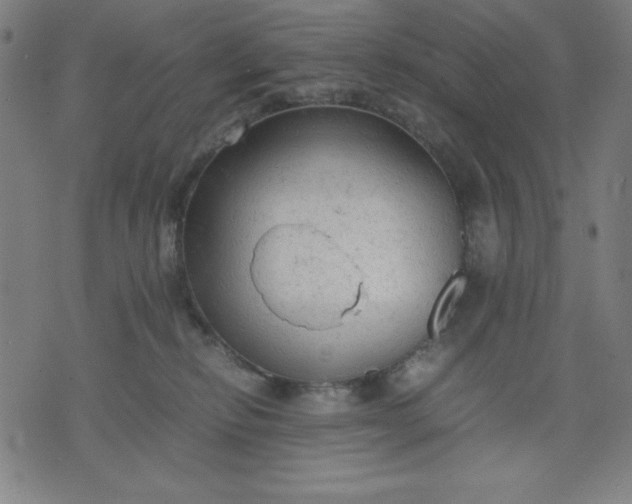 X0000072550278200607281656