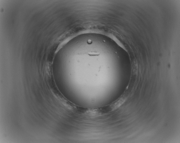 X0000072550280200607281656