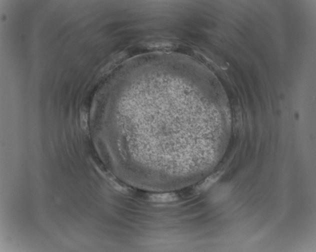 X0000072550281200607281656