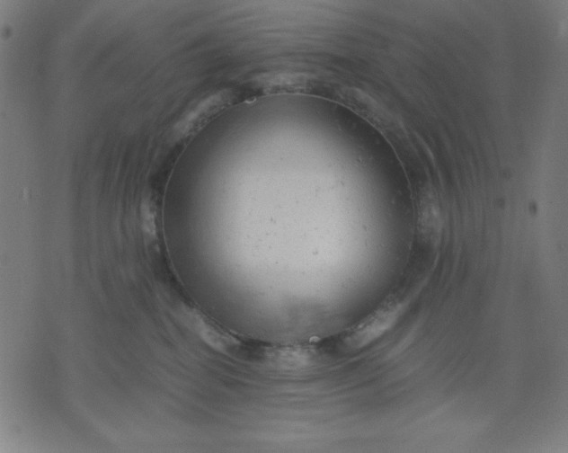 X0000072550282200607281656