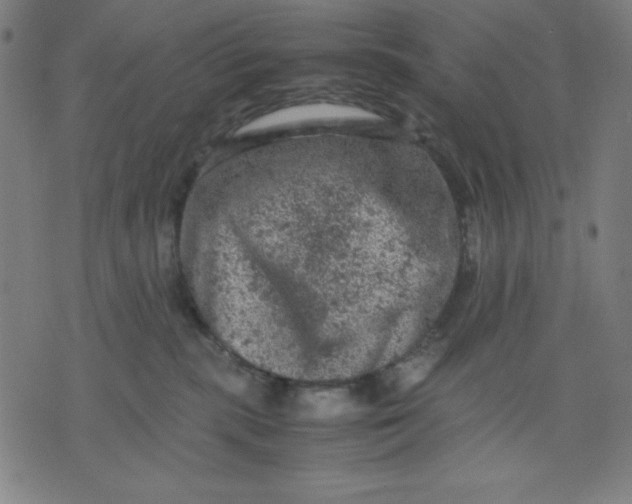 X0000072550283200607281656