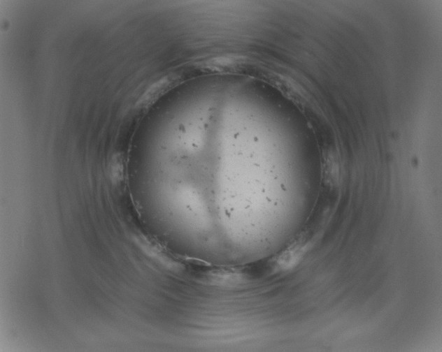 X0000072550284200607281656