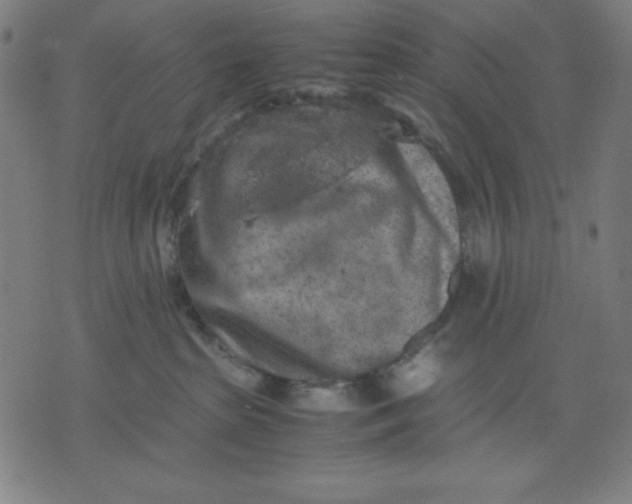 X0000072550285200607281656