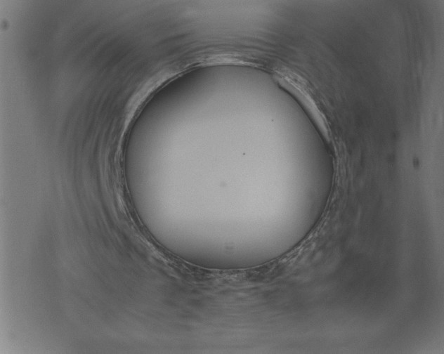 X0000072550289200607281655