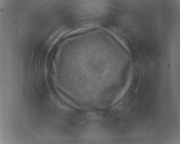 X0000072550290200607281655