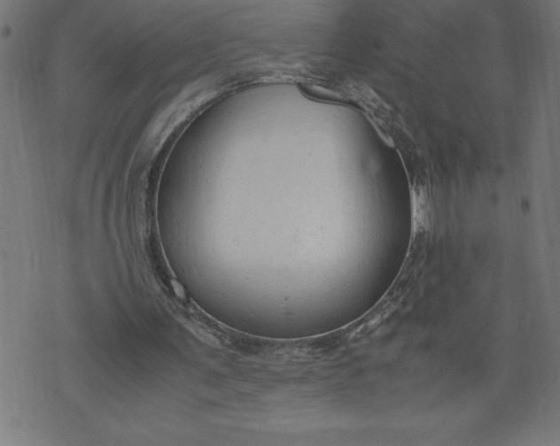 X0000072550291200607281655