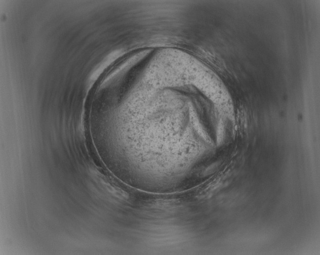 X0000072550292200607281655