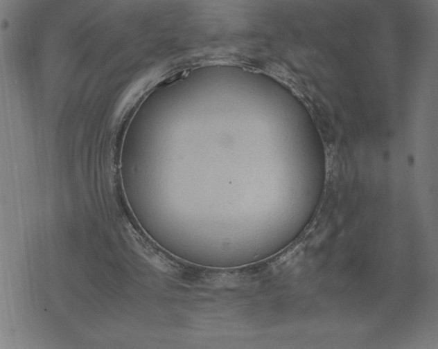 X0000072550293200607281655