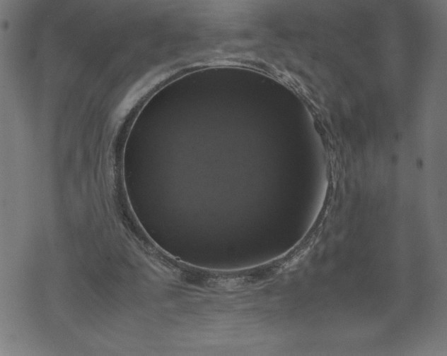 X0000072550295200607281655