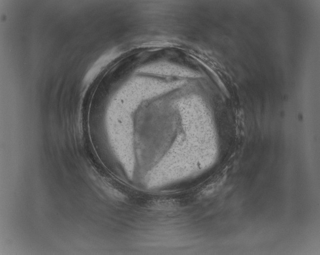 X0000072550296200607281655