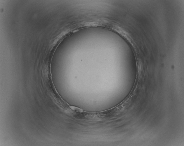 X0000072550297200607281655