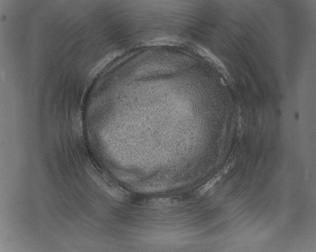 X0000072550298200607281655