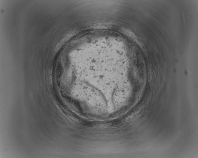 X0000072550299200607281655