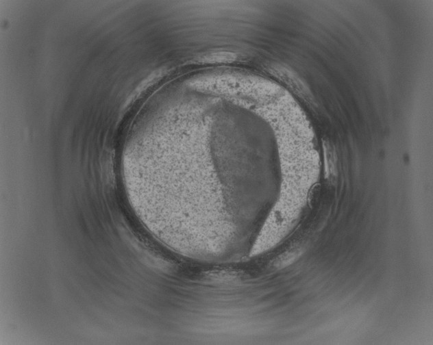 X0000072550300200607281655