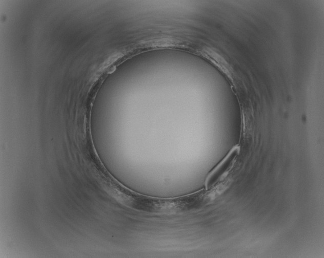 X0000072550301200607281655