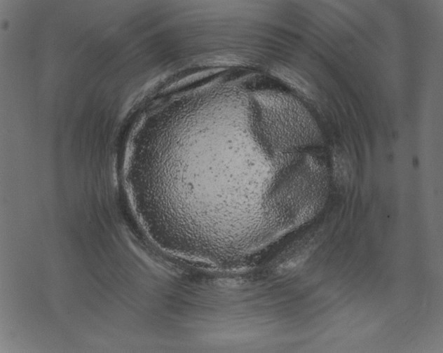 X0000072550302200607281655