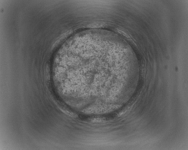 X0000072550303200607281655