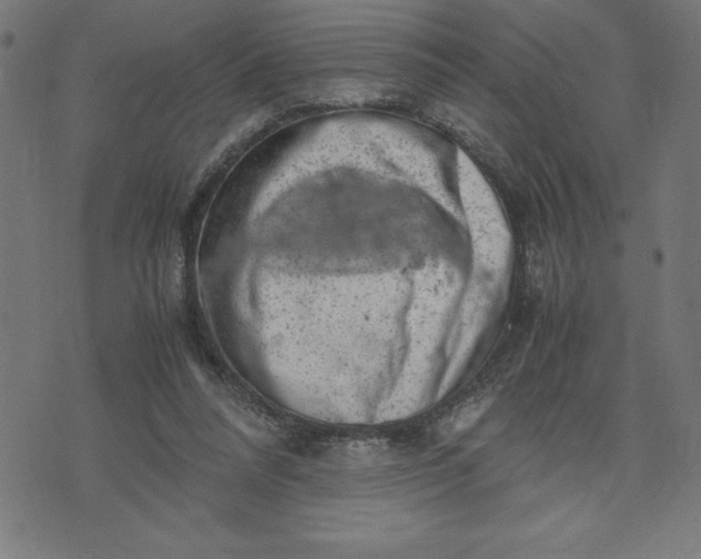 X0000072550304200607281655