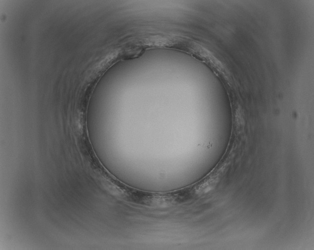 X0000072550305200607281655