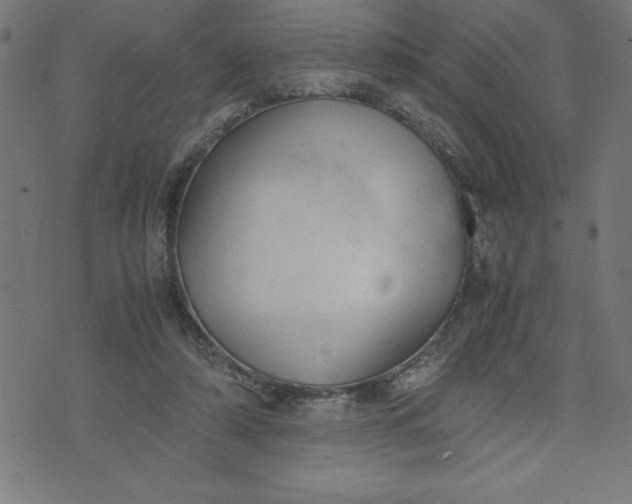 X0000072550306200607281655