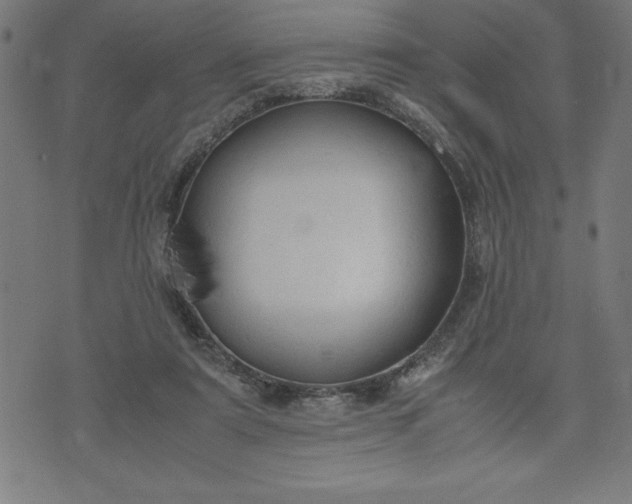 X0000072550307200607281655