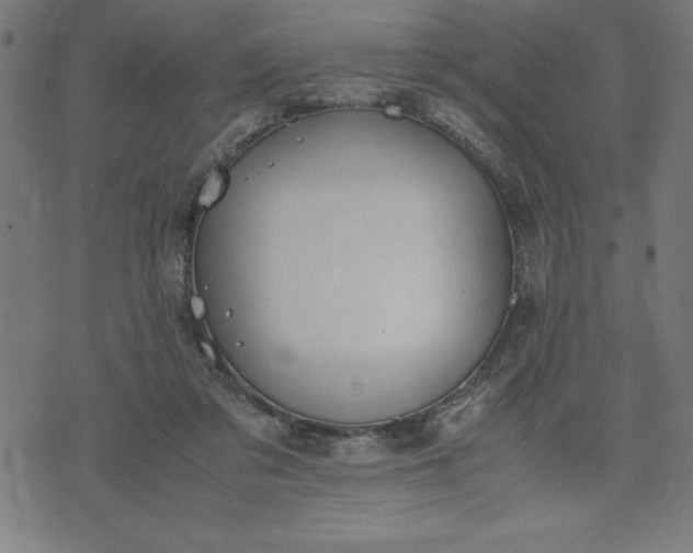 X0000072550309200607281655