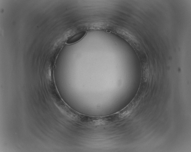 X0000072550310200607281655