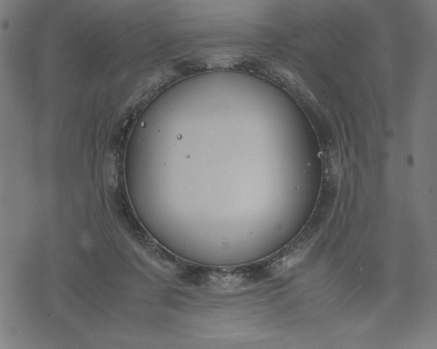 X0000072550311200607281655