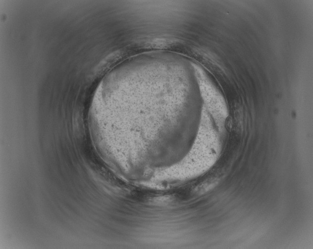 X0000072550312200607281655