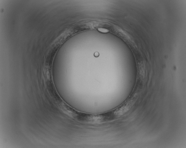 X0000072550313200607281655