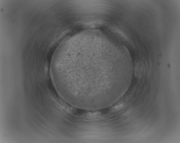 X0000072550314200607281655