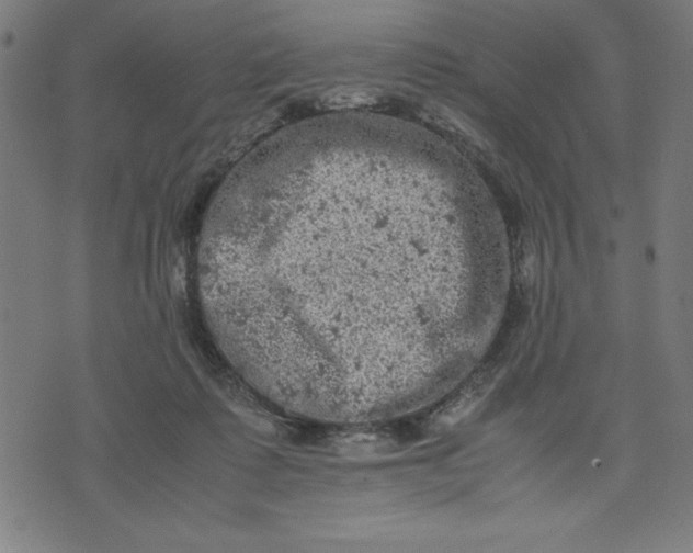 X0000072550315200607281655