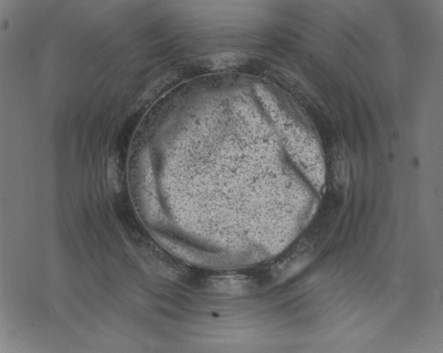 X0000072550316200607281655