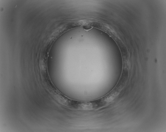 X0000072550317200607281655