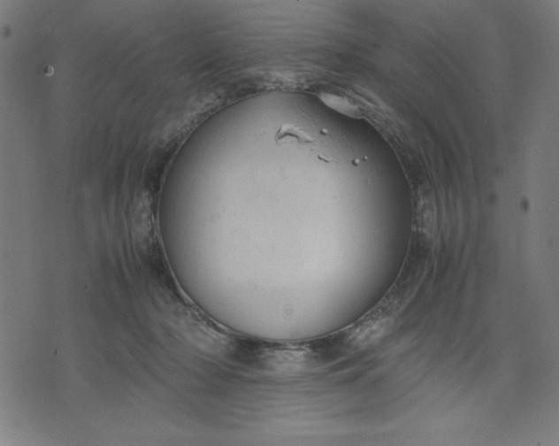 X0000072550318200607281655