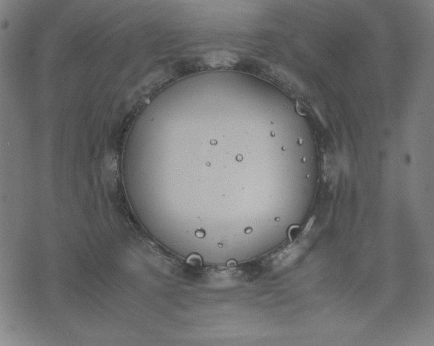 X0000072550321200607281655