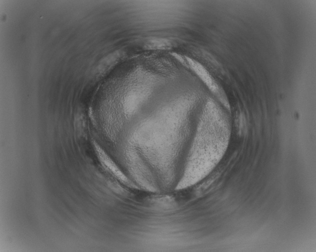 X0000072550322200607281655