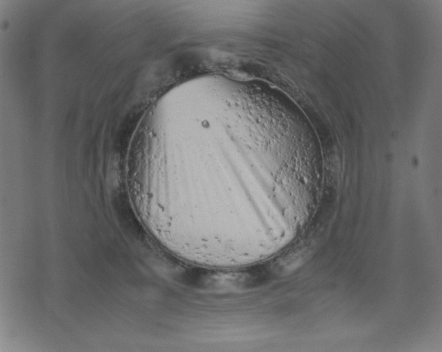 X0000072550323200607281655