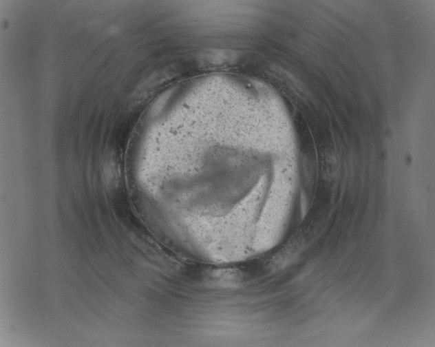 X0000072550324200607281655