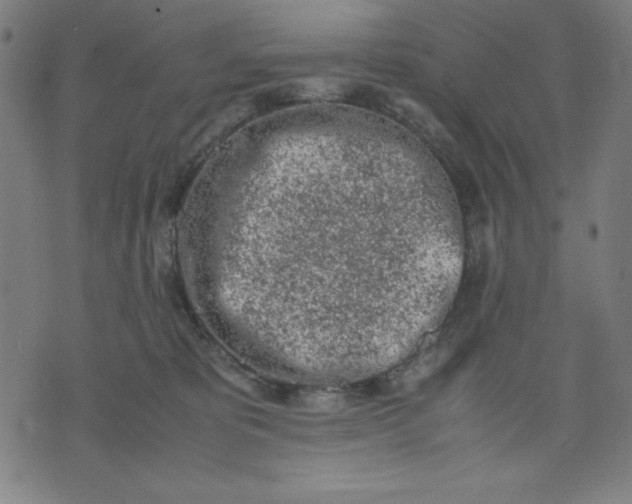 X0000072550325200607281655