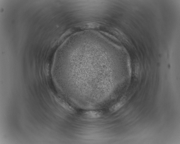 X0000072550326200607281655