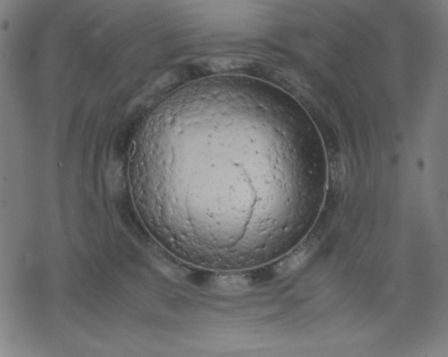 X0000072550327200607281655