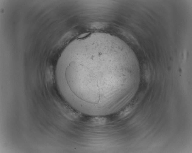 X0000072550328200607281655