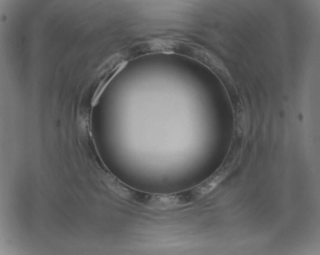 X0000072550329200607281655