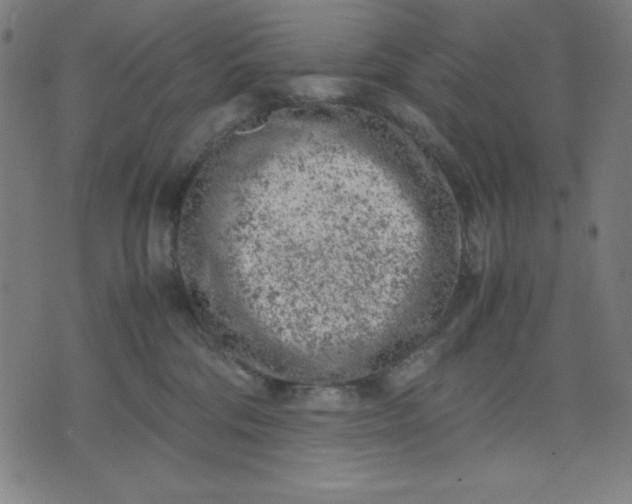 X0000072550330200607281655