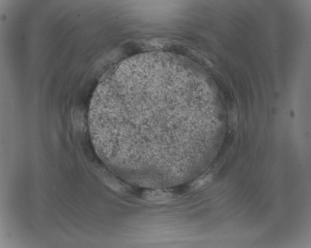 X0000072550331200607281655