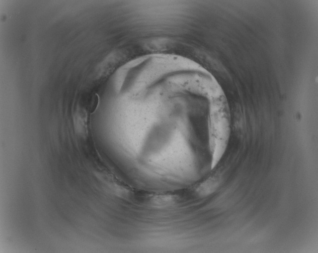 X0000072550332200607281655