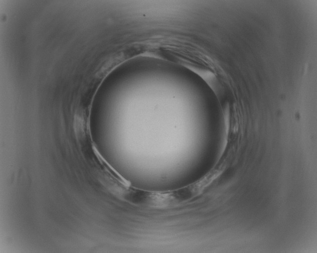 X0000072550333200607281655