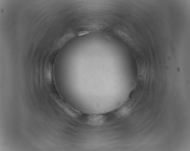 X0000072550334200607281655