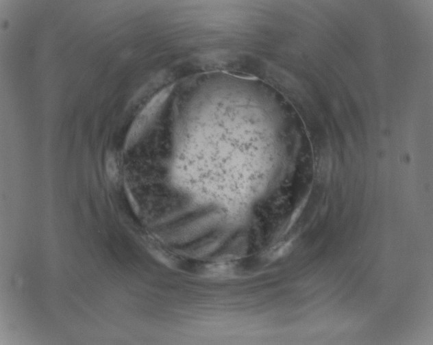 X0000072550335200607281655